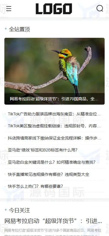 互联网电商博客资讯网站模板 移动端